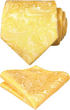 Mens Paisley Tie Handkerchief Casual Floral Necktie Set