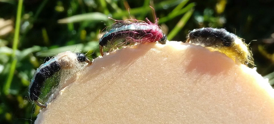 DIETERS-HEGENEN NEU Forellen und Äschen System mit 3 Czech Nymphen Saibling Barsch Paternoster