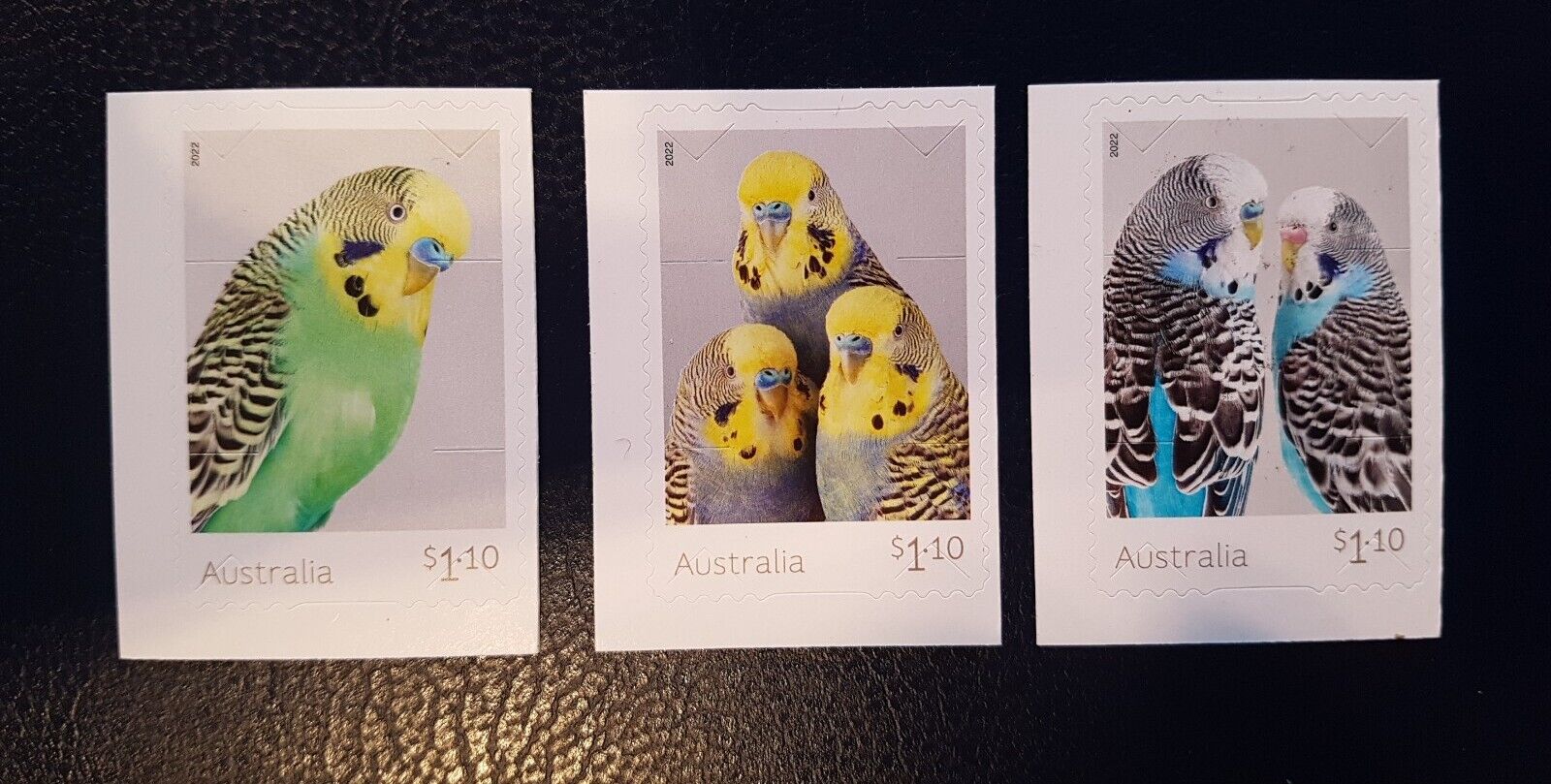 AUSTRALIA - 2022 BUDGERIGARS S/A SET OF 3 *FREE POSTAGE* SHIPS NOW!