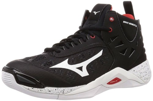 MIZUNO Volleyball Shoes WAVE MOMENTUM 