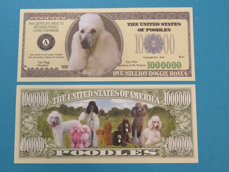 POODLES for Dog Lovers ~ Series Woof ~ Hip $1,000,000 One Million Dollar Bill