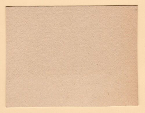 Perros - Tarjeta de cigarrillo holandesa de velocidad completa circa 1959 #162 caniche blanco - Imagen 2 de 2