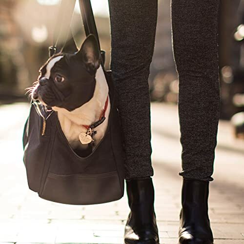 django pet tote