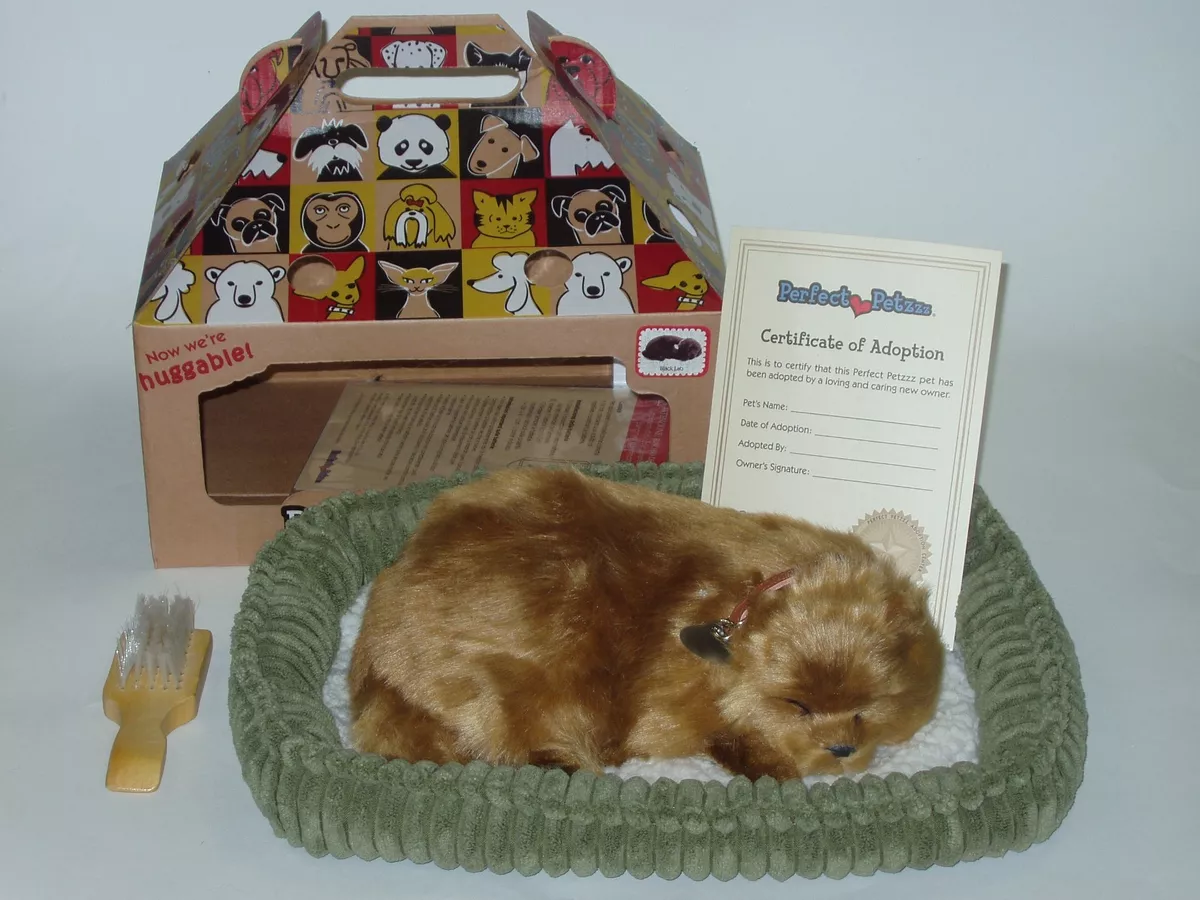 Perfect petzzz store pomeranian