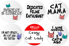 Crazy Cat Lady Feline Enthusiast Cat Mama - 6 Pack Circle Stickers 3 Inch
