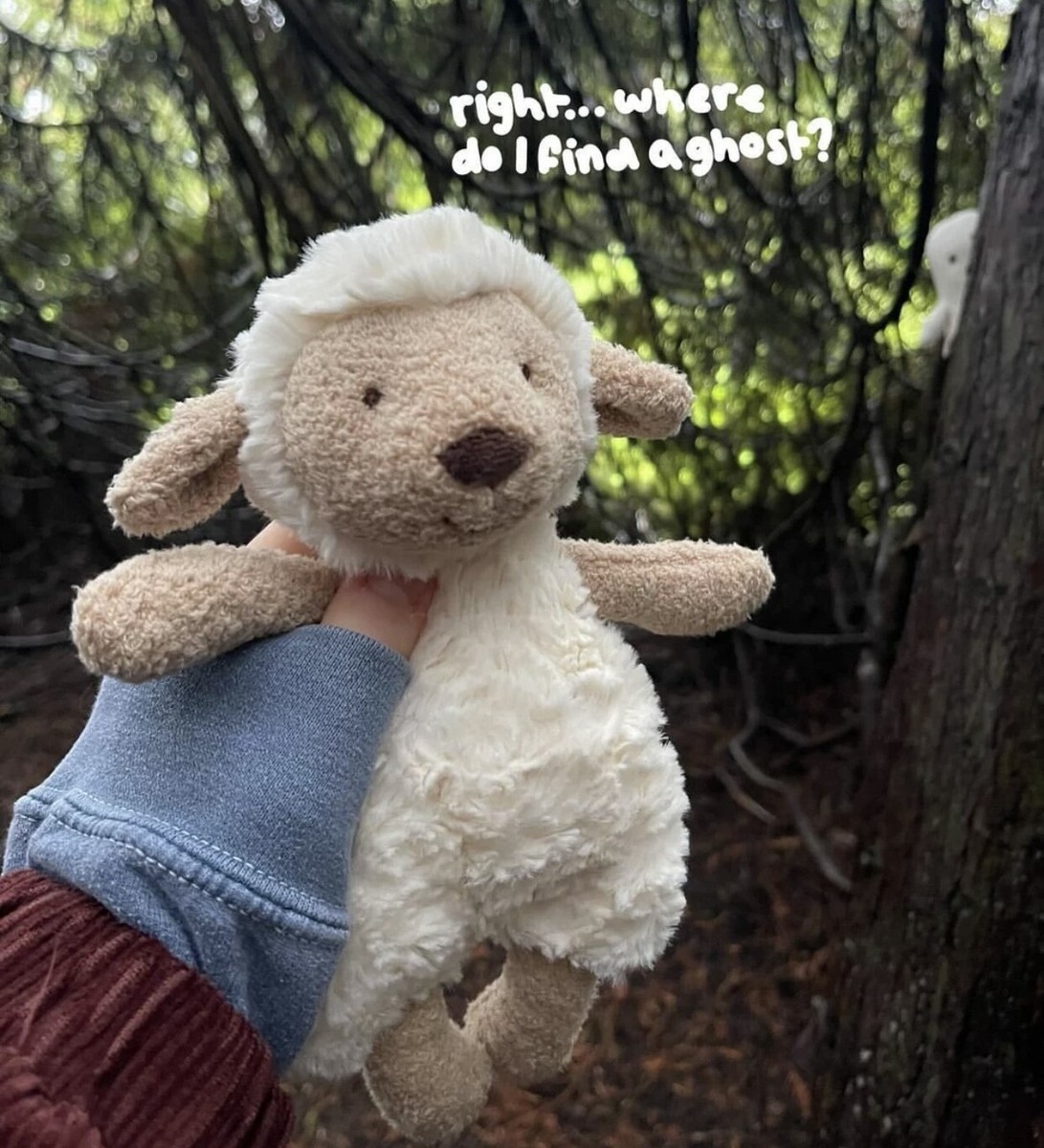 Jellycat Authentic Lollie Lamb Super Soft Cute Sheep Plush Animal