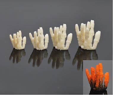 Set Di 4 Miniature In Corallo Non Verniciato Per Casa Delle Bambole, Scala 1:12, SMA CR004