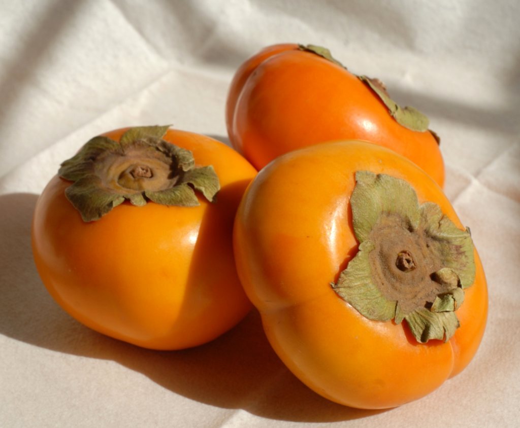 Fresh Persimmons, 2 - 3 lbs. | eBay