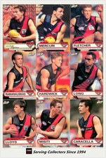 2001 ESP AFL Heroes Trading Card Base Card Team Set Essendon(9)