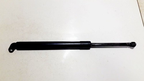 51248222913 Gasdruckfeder Motorhaube  BMW 5-Series DE737394-41