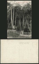 Japan Old Postcard HANNO - Saitama Pine Trees Mountains