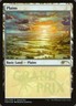Basic Land Set - Grand Prix Promo NM, English MTG Foil