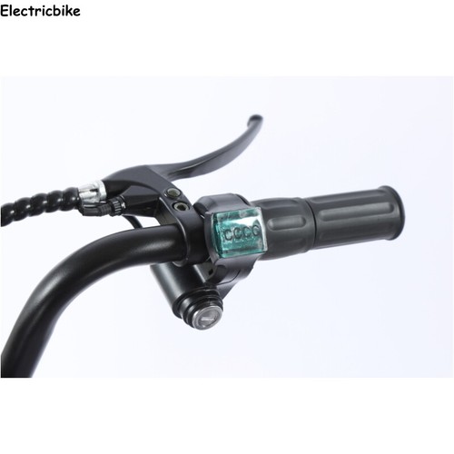 Premium Electric Cargo Trike 20" 48V Ideal Low-Maintenance Commuting E-Trike - Picture 13 of 14