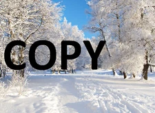 Digital Image photo jpeg picture