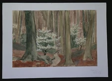Marthe Van Deryken (1892-1981) Watercolour Landscape Forest Script Back