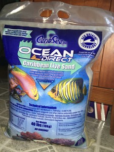 ocean direct live sand