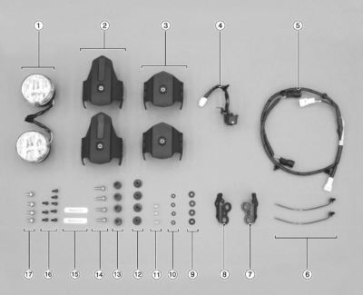 2017-2025 OE Genuine Kawasaki Versys-X 300 LED Auxiliary Light Set