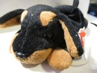 Bild 3 von 12