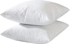   Hotel-Style 24x24 Goose Feather Down Euro Pillow Insert for Sofa  Bed - 100 