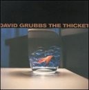 DAVID GRUBBS - The Thicket - CD - **Mint Condition**