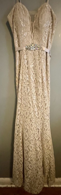 Josh & Jazz Jolene Elegant Champagne Lace Mermaid/Column Prom Formal Dress Sz 2