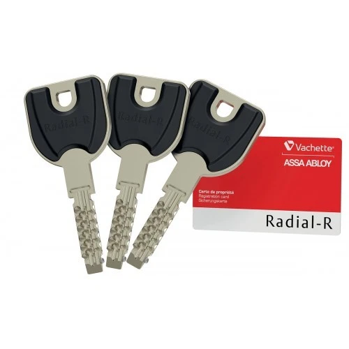 Cylindre double variés haute sécurité Radial-R - clés réversibles - 42,5 x 42,5 - Photo 2/4