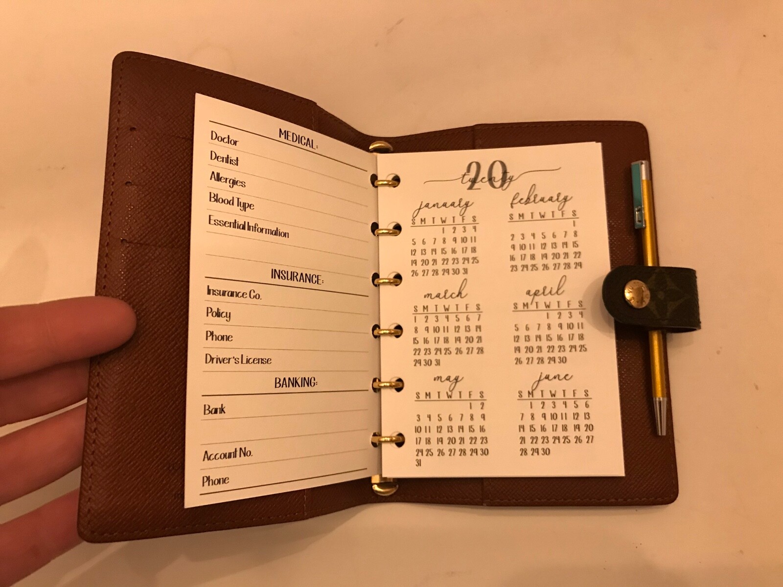 fits-louis-vuitton-small-agenda-planner-choose-calendar-inserts