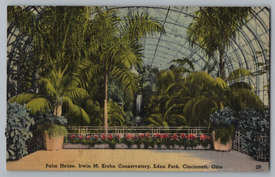 Palm House Irwin M. Krohn Conservatory, Eden Park Cincinnati Ohio Postcard