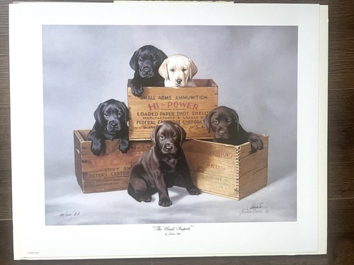 The Usual Suspects signiert # 44/200 Limited Edition Joshua Spies Hund Druck gerahmt - Bild 2 von 6