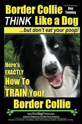 Border Collie Dog Training