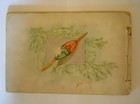 Antique 1800s Lithographed Allen & Ginter Cigarette Card BOOK 50 Fish Unused — photo 7