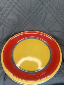 4 Piece Dish Set