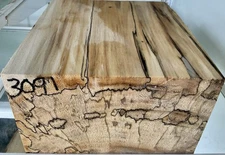 Spalted Tulip Poplar fresh cut green Bowl Blank  turning wood 4x7x8 3091