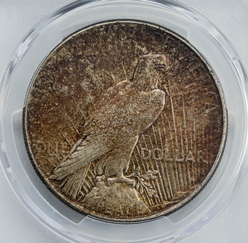 1934 Peace Silver Dollar $ MS64+ Secure PCGS 950190-7 - Picture 4 of 5