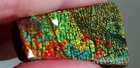 Ammolite  Ammonite   Coated Stone Color Changer 35.5x20x4.8mm 6196