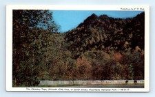 Postcard NC Chimney Tops Great Smoky Mountains Photo Vtg J10
