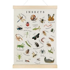 Nrleey Insects Poster Hanger Frame - Educational Wall Art, Kids Room Nursery ...
