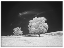 Fotocamera Panasonic G2 a spettro completo IR infrarossi convertita 125