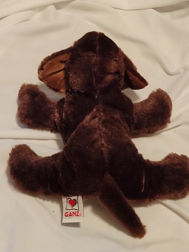 GANZ Webkinz chocolate Lab Retired no code - Picture 2 of 4