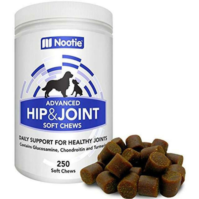 Glucosamine Chondroitin for Dogs 250 Training Size Dog Treats Daily