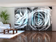 Fotogardine Rosen schwarz weiss, Schiebevorhang, Schiebegardine,Gardine, auf Maß