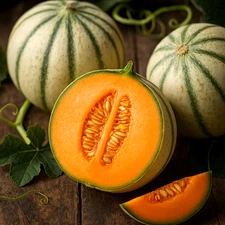 50+ CHARENTAIS SEEDS MELON RARE CANTALOUPE SWEET HEIRLOOM NON-GMO FREE SHIPPING!