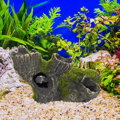 Aquarium-Dekoration Set – Korallenberg & 4 Wasserpflanzen Als Versteck Für Fische