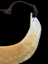 Fine Old Kina Shell  w Woven Neckband - Sepik R Papua New Guinea Collected 1960