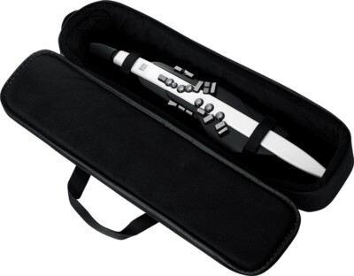 ROLAND Aerophone AE-20 AE20 Digital Wind Instrument Synthesizer