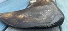 Bild 10 von 11