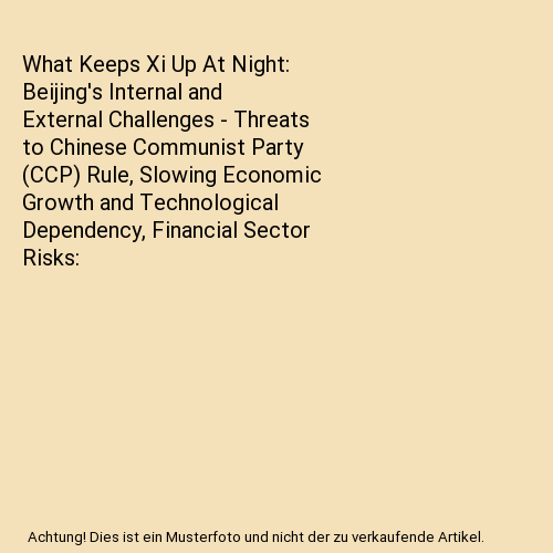 What Keeps Xi Up At Night: Beijing's Internal and External Challenges - Threats - Afbeelding 1 van 1