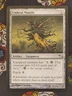 2008 Magic MTG Shadowmoor Umbral Mantle #267