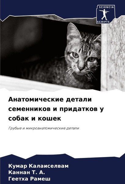 Anatomicheskie Detali Semennikow I Pridatkow U Sobak I Koshek Taschenbuch 2024-image