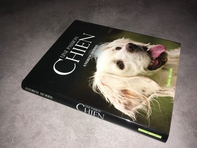 Andrew Morris HUNDE EINE LEIDENSCHAFT Land Ausgaben 2009 TIERE HUNDE - DC28A